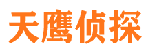 长岭侦探公司